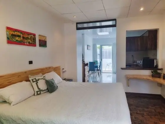 Standard Stüdyo, Küçük Mutfak, Şehir Manzaralı