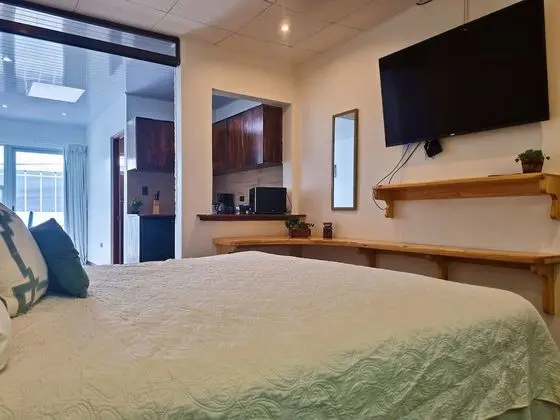 Standard Stüdyo, Küçük Mutfak, Şehir Manzaralı