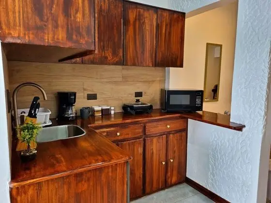 Standard Stüdyo, Küçük Mutfak, Şehir Manzaralı