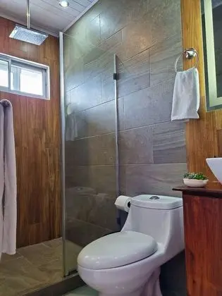 Standard Stüdyo, Küçük Mutfak, Şehir Manzaralı