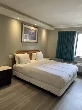 Standard Oda, 1 En Büyük (King) Boy Yatak, Sigara İçilmez