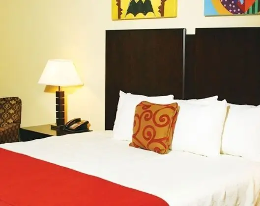 Standard Oda, 1 En Büyük (King) Boy Yatak