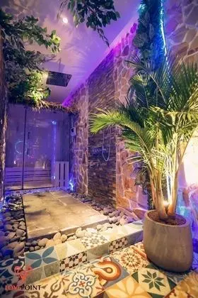 Romantic Stüdyo Süit, Jakuzi