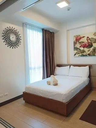 Basic Stüdyo