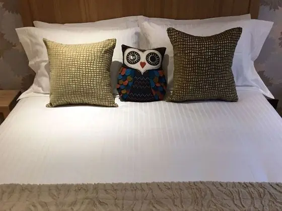Tek Büyük Yataklı Oda, Banyolu/Duşlu (The Barn Owl)