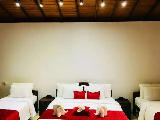 Superior Süit, Birden Çok Yatak, Balkon, Göl Manzaralı