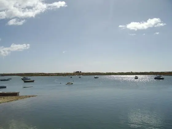 Apart Daire, 1 Yatak Odası, Teras