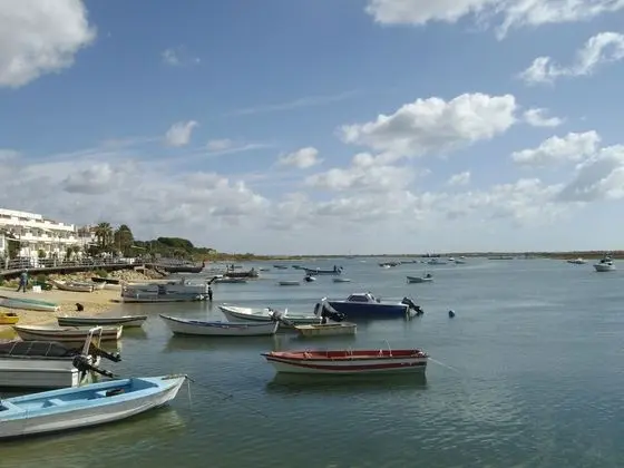 Apart Daire, 1 Yatak Odası, Teras