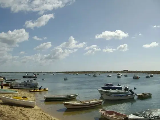 Apart Daire, 1 Yatak Odası, Teras