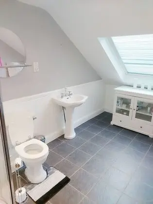 Superior Çatı Katı (Loft), Özel Banyo (Room 1)