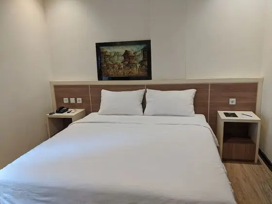 Superior Tek Büyük veya İki Ayrı Yataklı Oda