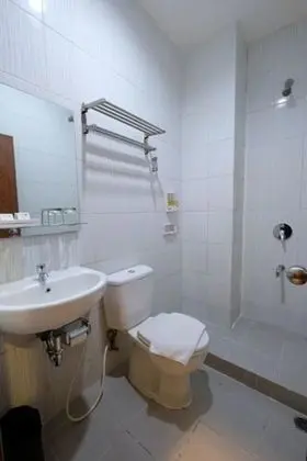 Superior Tek Büyük Yataklı Oda