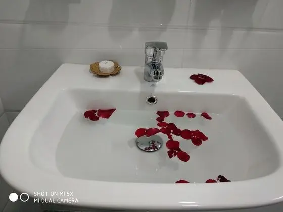 Süit
