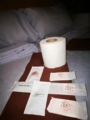 Ortak Ranzalı Oda (Semi Private Curtained Capsule)