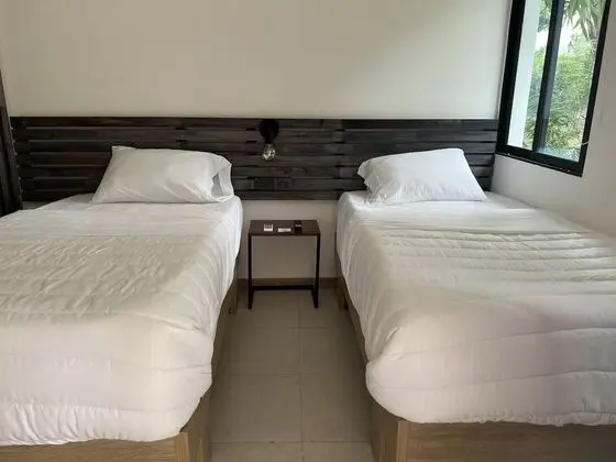 Standard Tek Büyük veya İki Ayrı Yataklı Oda