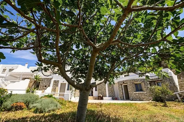 Villa, 6 Yatak Odası (Polymnia)