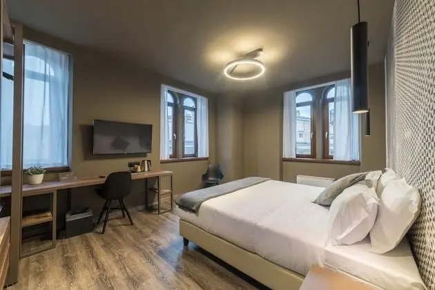 Tek Büyük Yataklı Oda, Özel Banyo, Şehir Manzaralı