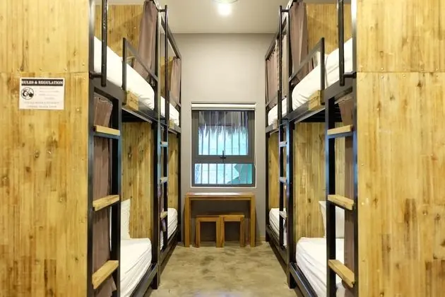 Bunk bed in 8-Bed Mixed Dormitory Room