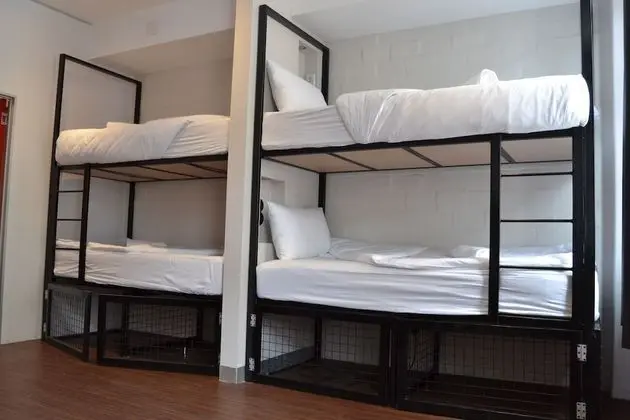 Ortak Ranzalı Oda, Karma Ranzalı Oda, Banyolu/Duşlu (6 Bed)
