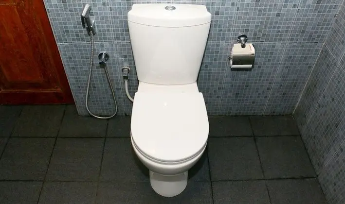 Premium Tek Büyük Yataklı Oda, 1 Çift Kişilik Yatak