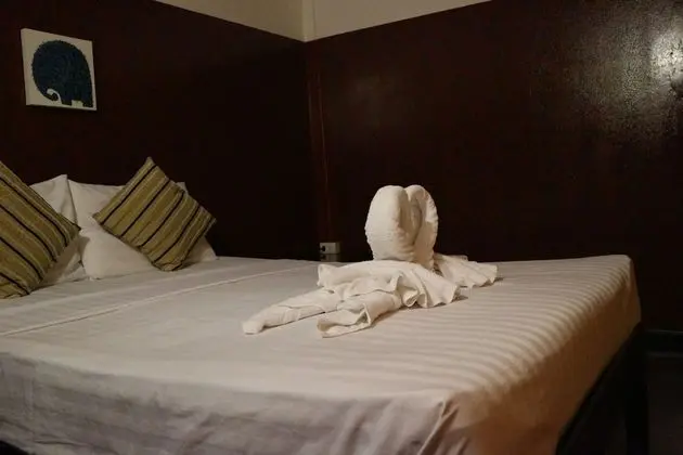 Tek Büyük Yataklı Oda (Shared Bathroom)