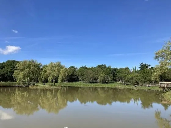 Superior Ev, 1 Yatak Odası, Sigara İçilmez, Göl Manzaralı