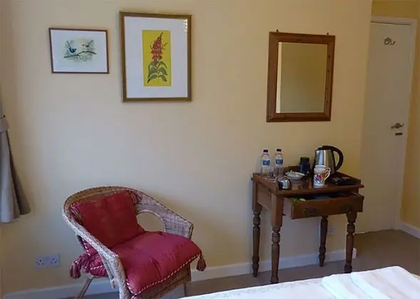 Comfort Tek Büyük Yataklı Oda, 1 Yatak Odası (Private Bathroom)