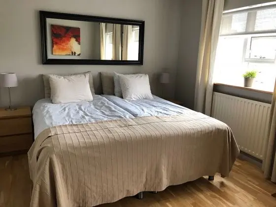 Basic Tek Büyük Yataklı Oda, 1 Büyük (Queen) Boy Yatak, Ortak Banyo (Large)