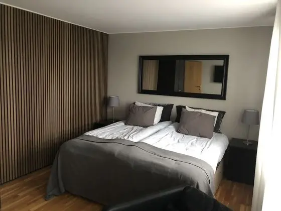 Basic Tek Büyük Yataklı Oda, 1 Büyük (Queen) Boy Yatak, Ortak Banyo (Large)