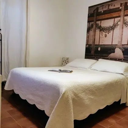 Deluxe Tek Büyük Yataklı Oda, 1 Büyük (Queen) Boy Yatak, Banyolu/Duşlu