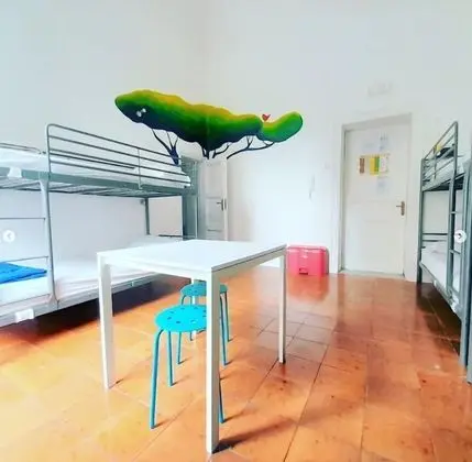 Comfort Ortak Ranzalı Oda, Karma Ranzalı Oda, Ortak Banyo (up to 6 people)