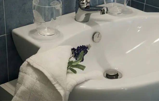 Deluxe Tek Büyük Yataklı Oda (Private External Bathroom)