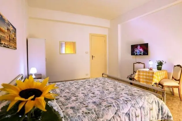 Tek Büyük Yataklı Oda, 1 Çift Kişilik Yatak, Bahçe Manzaralı