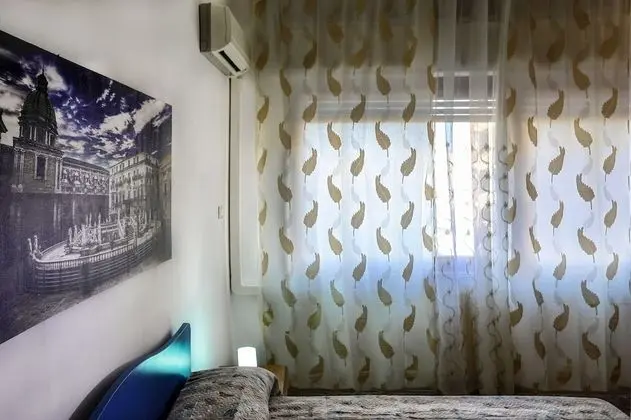 Tek Büyük Yataklı Oda, 1 Çift Kişilik Yatak, Banyolu/Duşlu