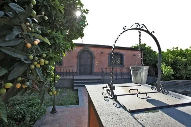 Ev, 1 Yatak Odası, Teras