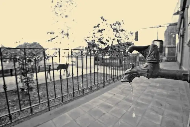 Ev, 1 Yatak Odası, Teras