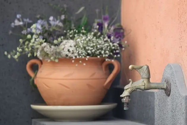 Ev, 1 Yatak Odası, Teras