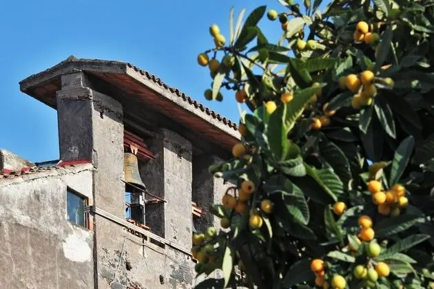 Ev, 1 Yatak Odası, Teras