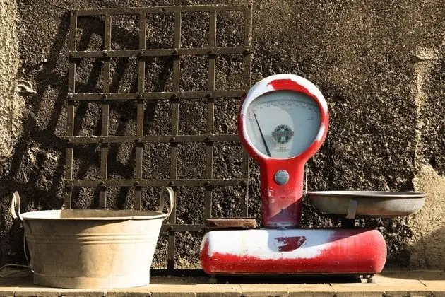 Ev, 1 Yatak Odası, Teras