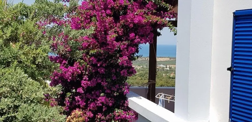 Villa, 3 Yatak Odası, Şömine