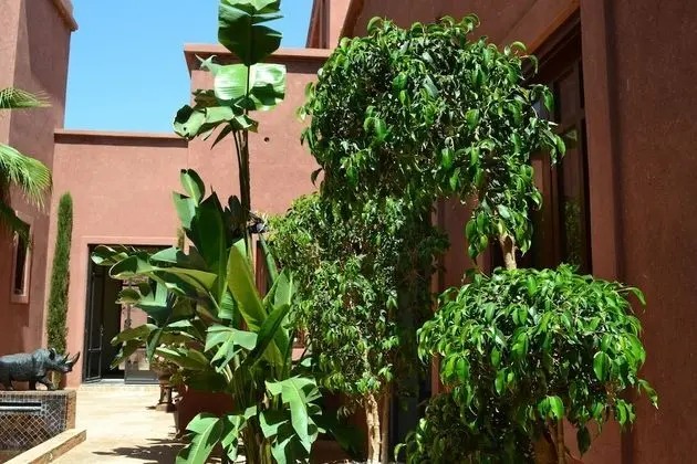 Villa, 4 Yatak Odası, Şömine