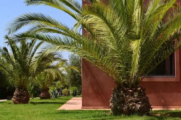 Villa, 4 Yatak Odası, Şömine