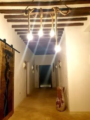 Oda, 1 Yatak Odası, Teras