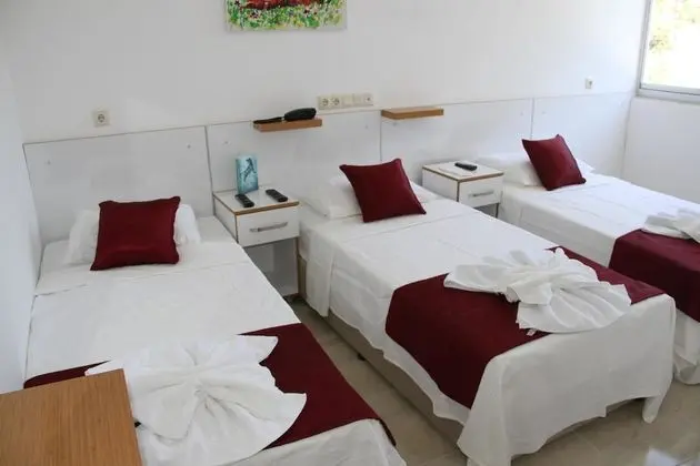 Standard Üç Kişilik Oda, Dağ Manzaralı