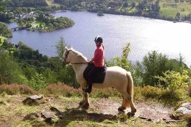 Kır Evi, Birden Çok Yatak