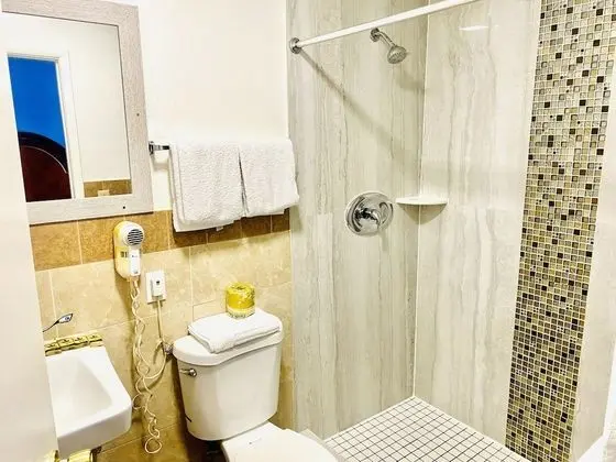 Basic Tek Kişilik Oda, 1 En Büyük (King) Boy Yatak