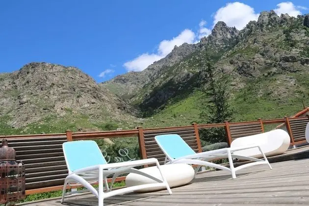 Süit