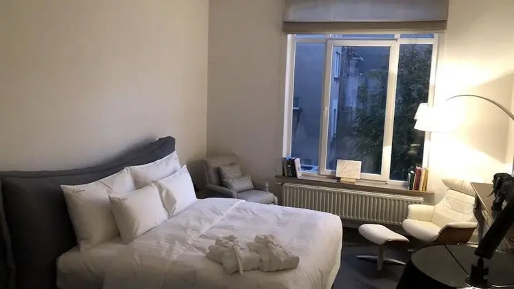 Stüdyo Süit, 1 En Büyük (King) Boy Yatak, Sigara İçilmez