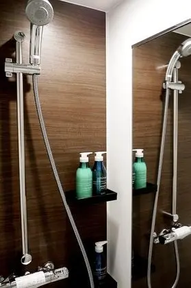 Basic Oda, 1 En Büyük (King) Boy Yatak, Sigara İçilmez, Özel Banyo