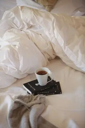 Luxury Tek Büyük Yataklı Oda